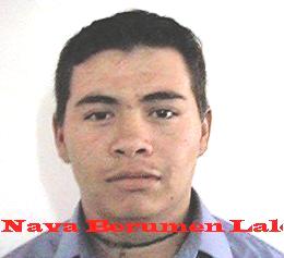 Nava Berumen Eduardo